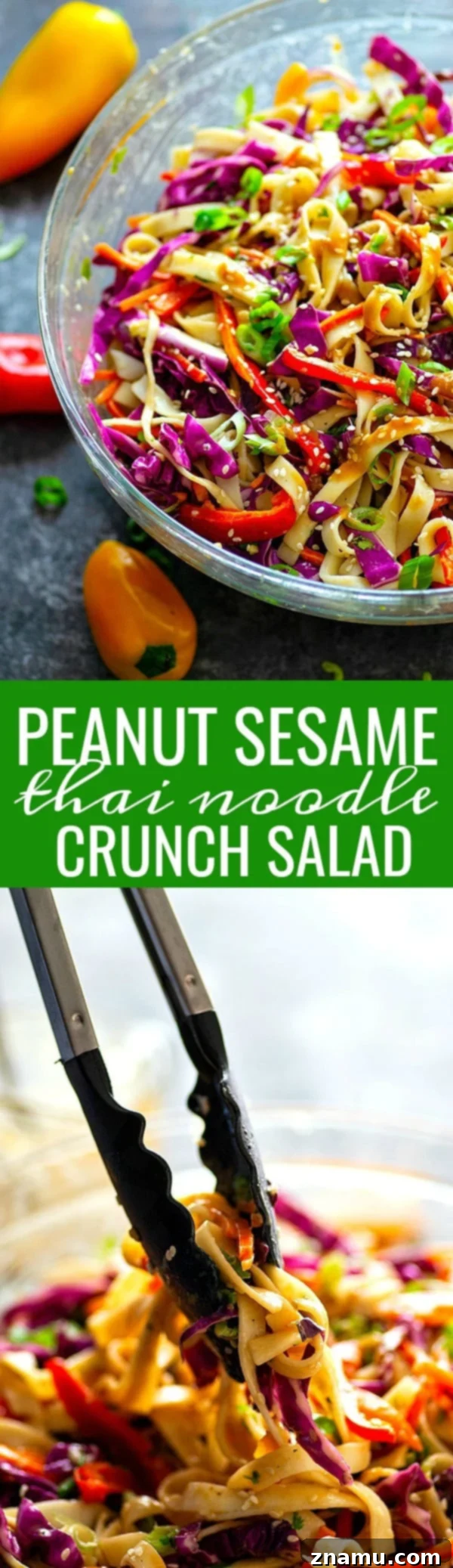 Final close-up image of the Peanut Sesame Thai Noodle Crunch Salad, emphasizing the rich dressing and colorful ingredients.