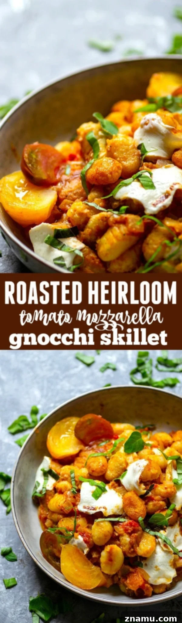Juicy roasted heirloom tomatoes and creamy fresh mozzarella make the most amazing flavor duo in this summery mozzarella gnocchi skillet that you'll have on the table in MINUTES!