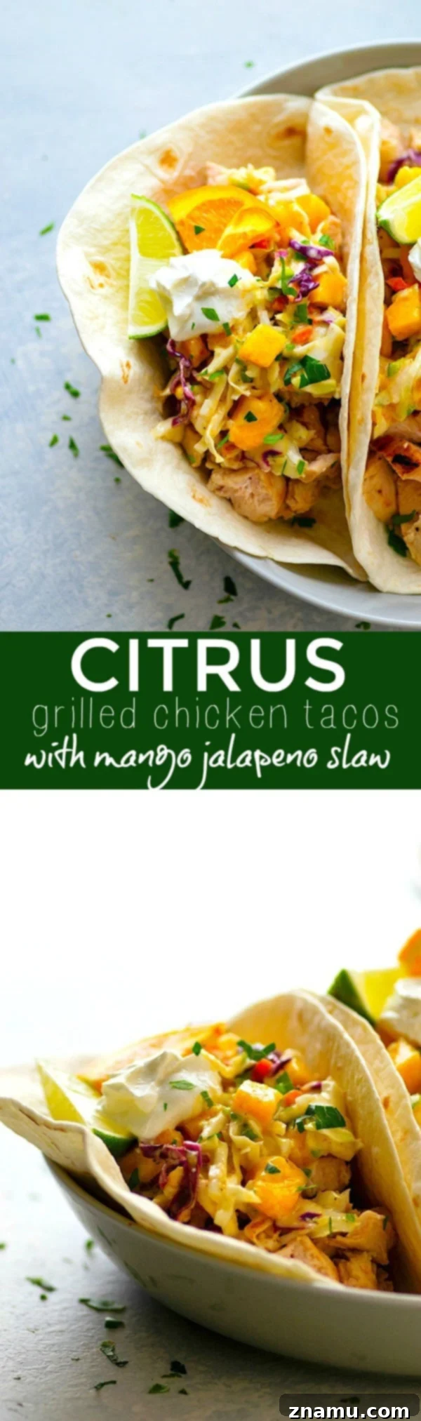 Citrus-Grilled Chicken Tacos with Mango Jalapeno Slaw - Juicy citrus-marinated grilled chicken and a zingy fresh mango jalapeno slaw are the taco duo your taco dinner game NEEDS!