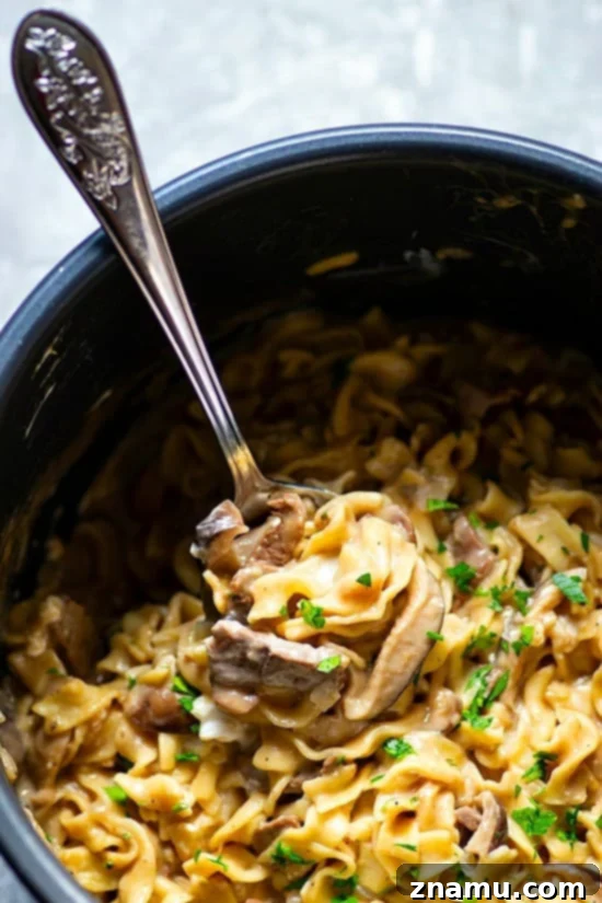 Umami-Rich Instant Pot Shiitake Beef Stroganoff 2 Instant Pot Shiitake Mushroom Beef Stroganoff - Made ENTIRELY in the instant pot in less than 30 minutes and a dead ringer for the real thing, this shiitake mushroom beef stroganoff is the easy comfort food you NEED!