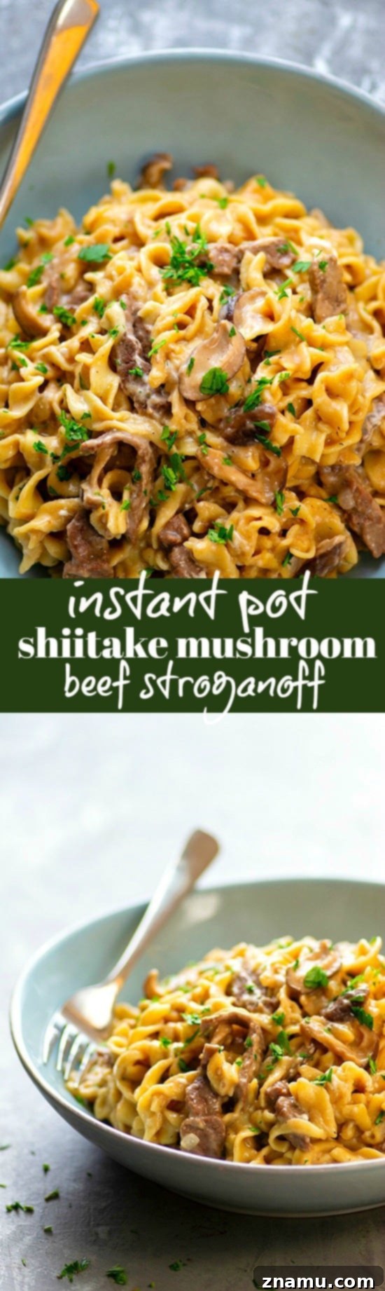 Umami-Rich Instant Pot Shiitake Beef Stroganoff 6 Instant Pot Shiitake Mushroom Beef Stroganoff - Made ENTIRELY in the instant pot in less than 30 minutes and a dead ringer for the real thing, this shiitake mushroom beef stroganoff is the easy comfort food you NEED!