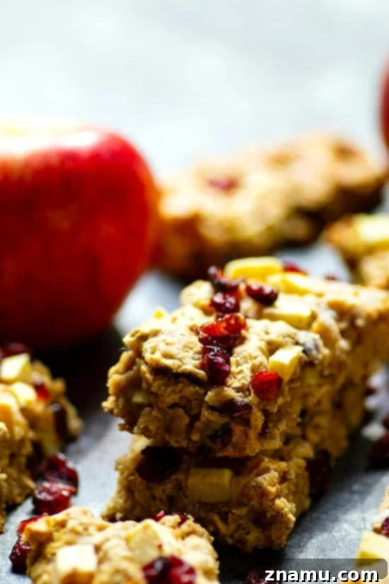 Grab-and-Go Apple Cranberry Oat Bars 2 Delicious Cranberry Apple Oatmeal Breakfast Bars, perfect for a grab-and-go breakfast. These bars are incredibly soft, filling, and packed with chewy cranberries and tender apple pieces, making them an ideal autumn treat.