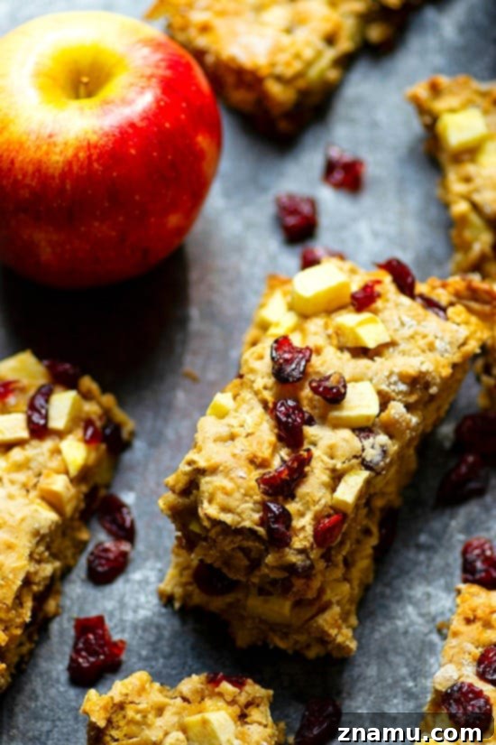 Grab-and-Go Apple Cranberry Oat Bars 3 Close-up of a Cranberry Apple Oatmeal Breakfast Bar, showcasing its soft texture and abundance of chewy cranberries and soft apple chunks. Ideal for a quick, satisfying morning meal.