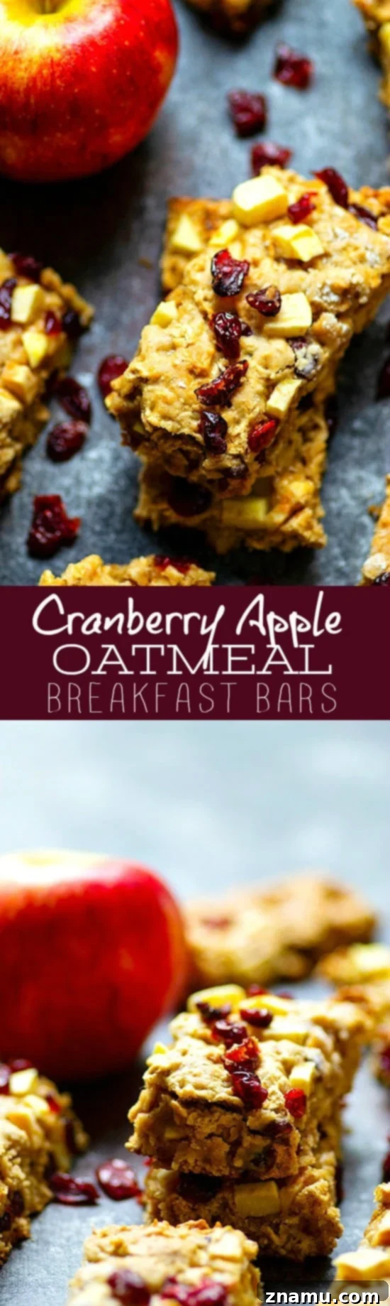 Grab-and-Go Apple Cranberry Oat Bars 6 A close-up shot of Cranberry Apple Oatmeal Breakfast Bars, highlighting the filling nature and the perfect balance of fruit. Great for meal prep and quick breakfasts.