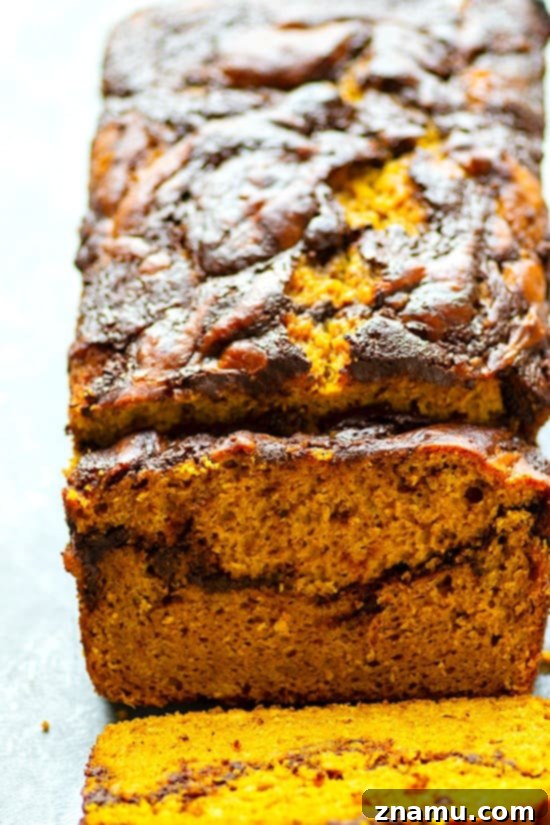 Marbled Mocha Pumpkin Bread 3 Close-up of a Pumpkin Mocha Swirl Quick Bread loaf, showcasing the beautiful marbling of pumpkin and mocha.