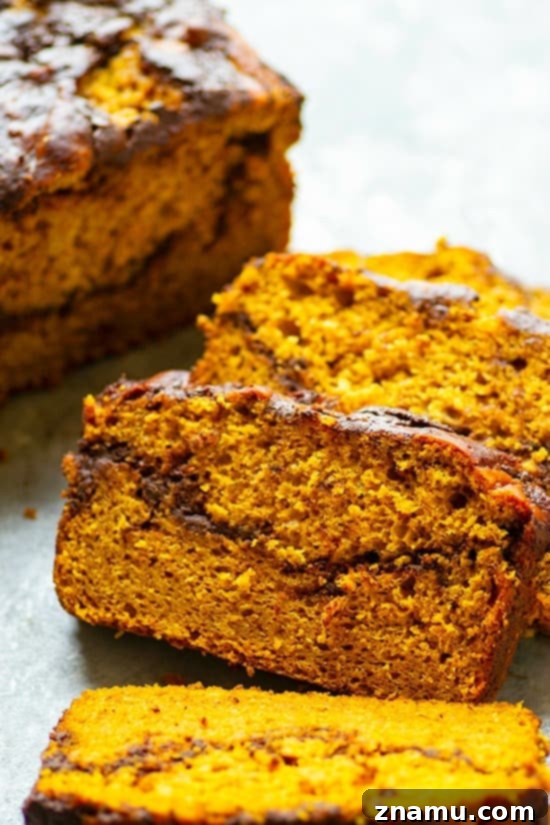Marbled Mocha Pumpkin Bread 4 A slice of Pumpkin Mocha Swirl Quick Bread on a plate, highlighting its tender crumb and gooey mocha streak.