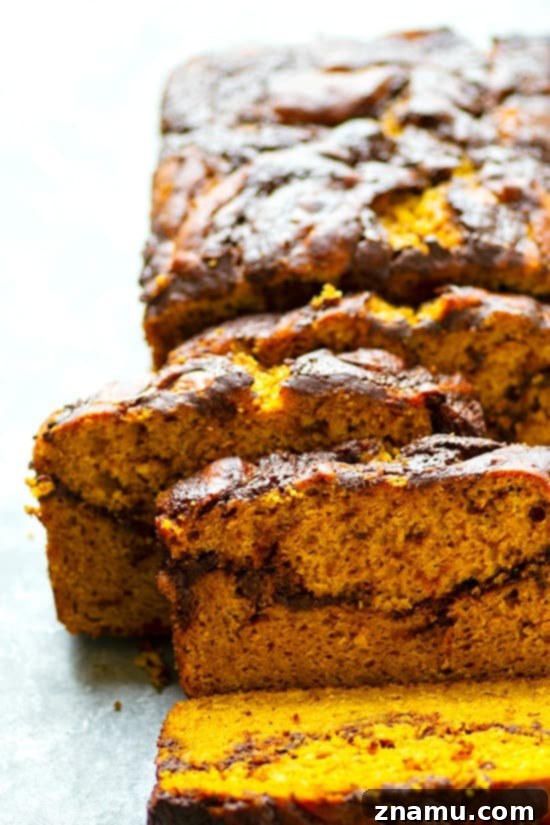 Marbled Mocha Pumpkin Bread 5 Freshly baked Pumpkin Mocha Swirl Quick Bread cooling on a wire rack, steam gently rising.