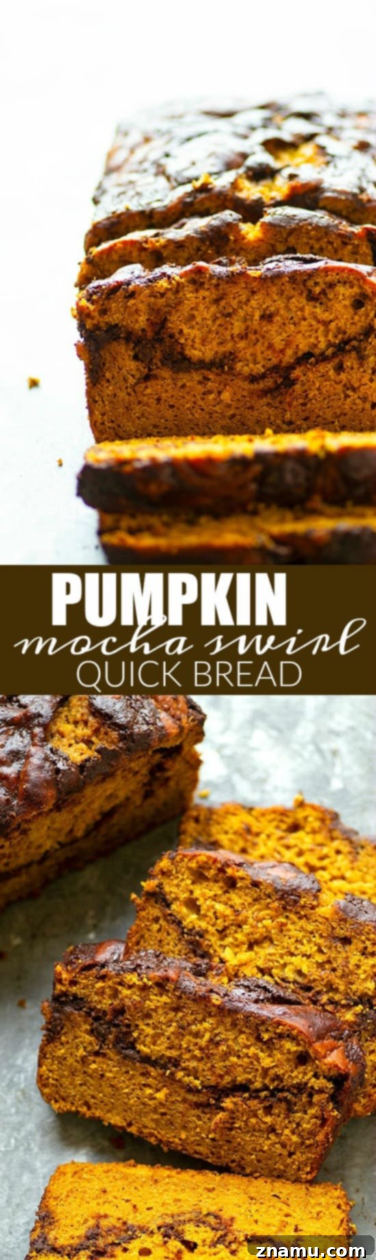 Marbled Mocha Pumpkin Bread 6 A large slice of Pumpkin Mocha Swirl Quick Bread, showcasing the rich mocha swirl and moist pumpkin texture, ready to be enjoyed.