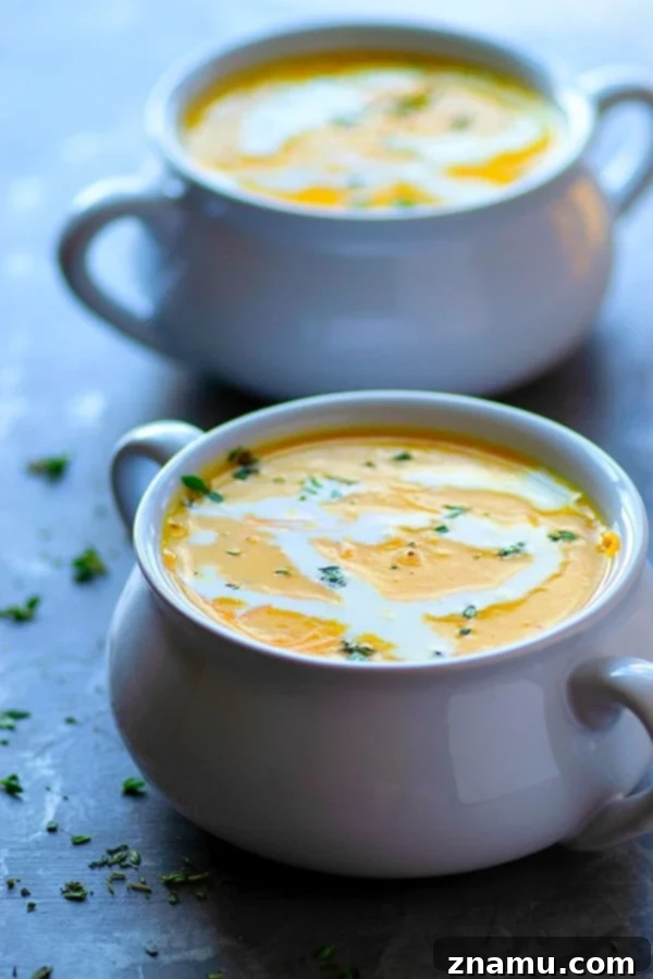 Velvet Pumpkin Beer Cheese Soup 5 A bowl of creamy Pumpkin Beer Cheese Soup, garnished with a sprinkle of fresh thyme, served with a side of crusty bread for dipping.