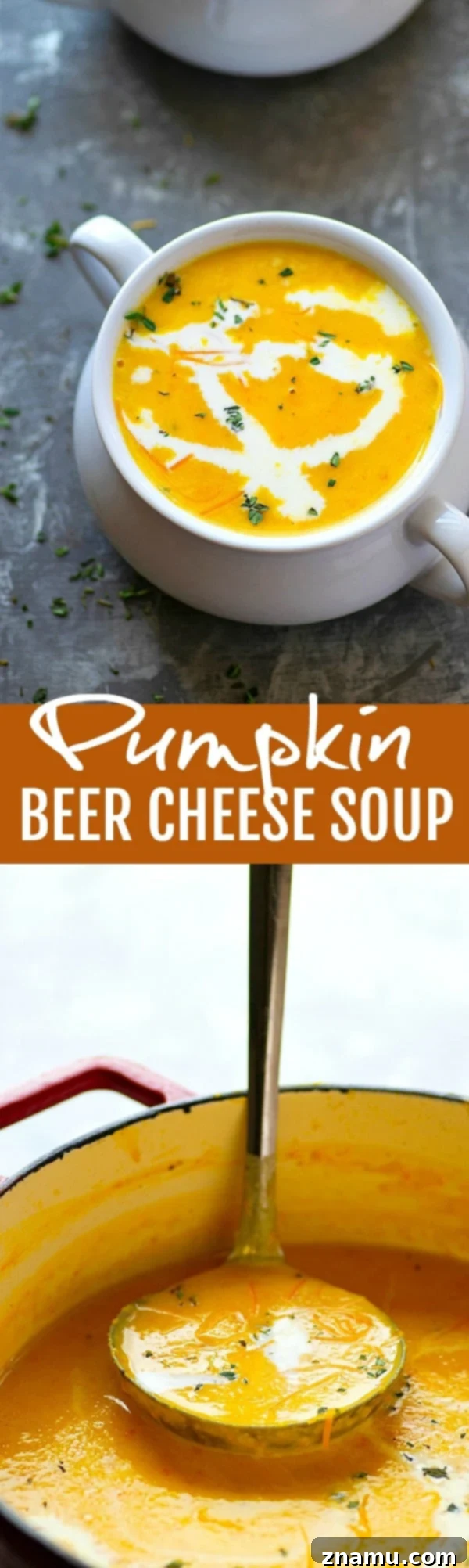 Velvet Pumpkin Beer Cheese Soup 6 Overhead shot of a bowl of Pumpkin Beer Cheese Soup, with golden brown bread slices arranged around it, inviting a warm, comforting meal.
