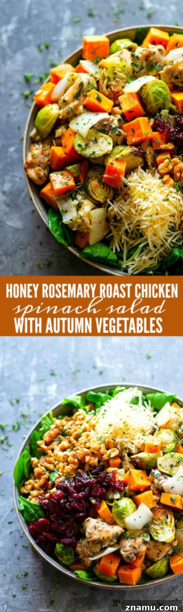 Honey-Glazed Rosemary Chicken with Autumn Harvest Salad 6 Large overhead shot of Honey Rosemary Roast Chicken Spinach Salad on a white platter