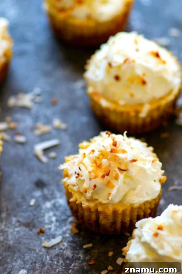 Coconut Pumpkin Cheesecake Bites 2 Delicious Coconut Pumpkin Pie Mini Cheesecakes, perfect for Thanksgiving