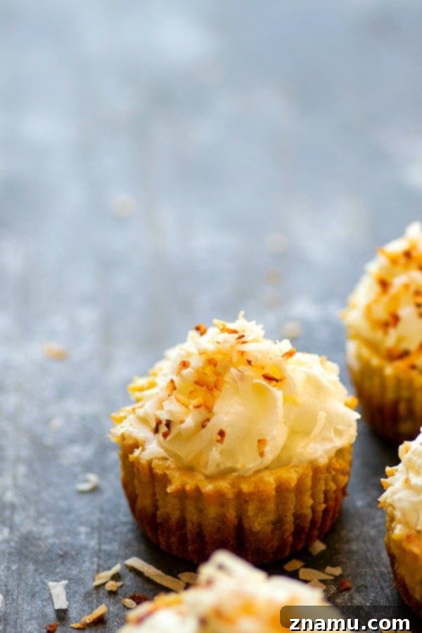 Coconut Pumpkin Cheesecake Bites 3 Close-up of a Coconut Pumpkin Pie Mini Cheesecake with toasted coconut