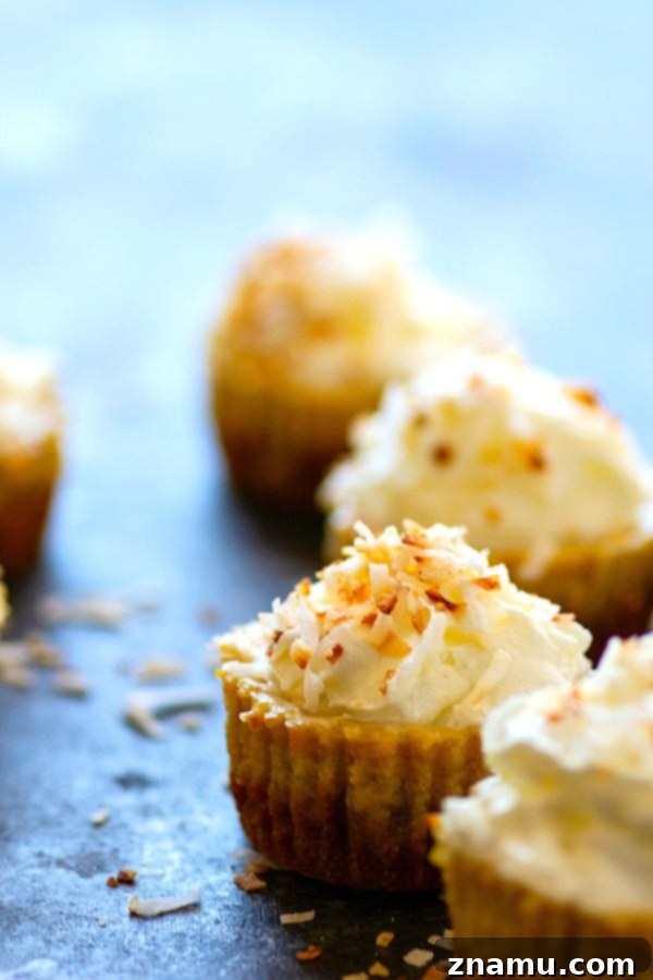 Coconut Pumpkin Cheesecake Bites 4 Three Coconut Pumpkin Pie Mini Cheesecakes on a cooling rack