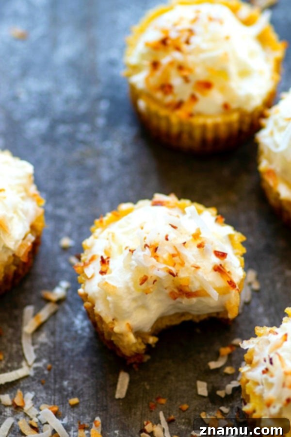 Coconut Pumpkin Cheesecake Bites 5 Close-up of a Coconut Pumpkin Pie Mini Cheesecake ready to be served