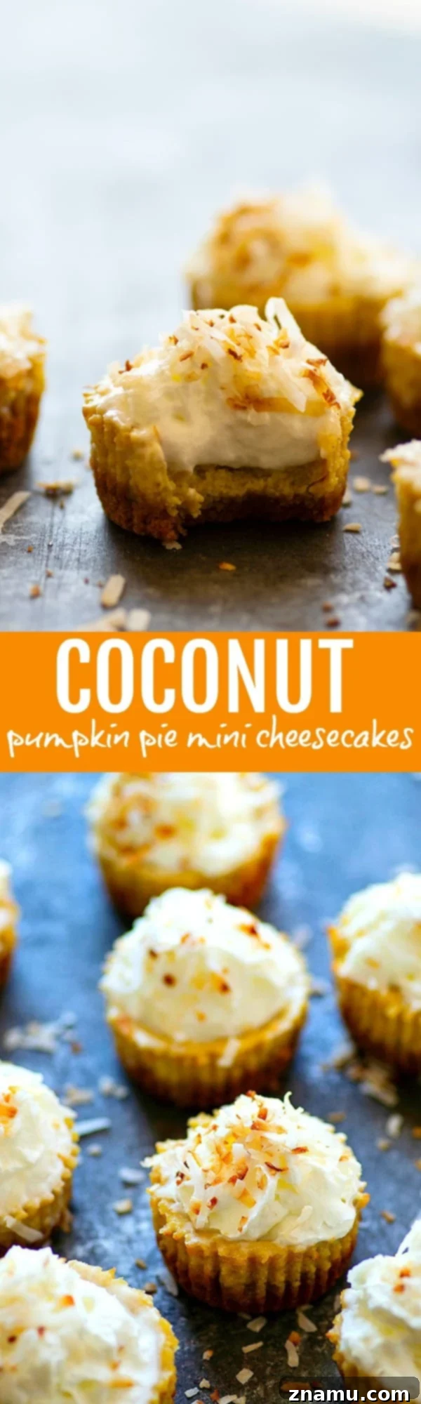 Coconut Pumpkin Cheesecake Bites 6 Stack of Coconut Pumpkin Pie Mini Cheesecakes for a festive display