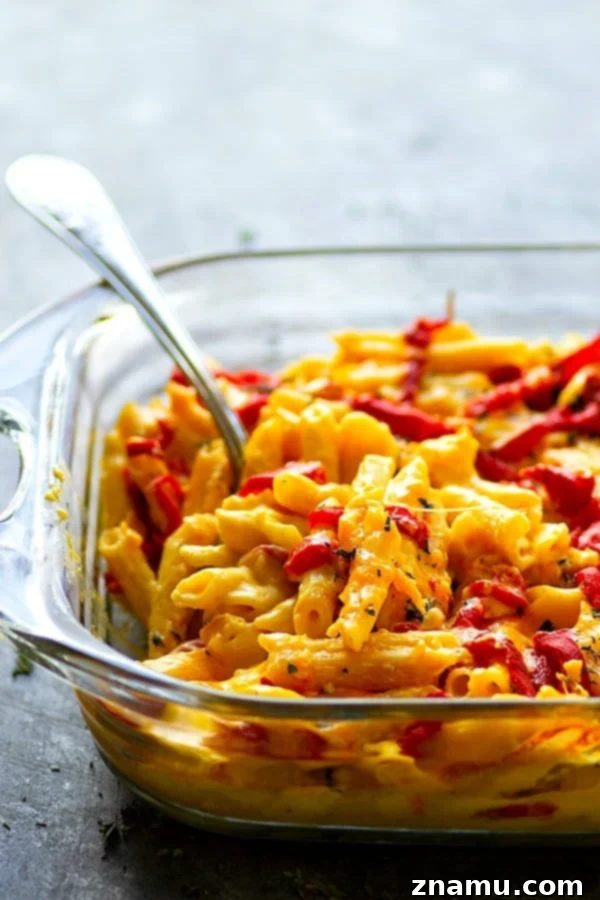 Pumpkin and Roasted Red Pepper Mac & Cheese 4 Baked Pumpkin Roasted Red Pepper Mac 'n' Cheese - A full pan of the baked mac and cheese, hot and bubbly from the oven, with a slightly browned top, ready to be served.