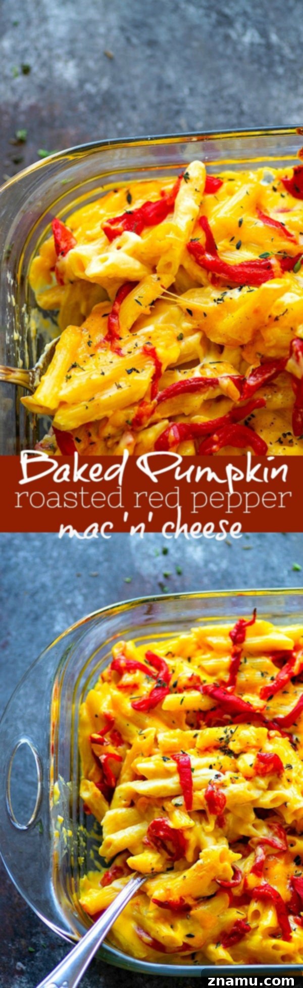 Pumpkin and Roasted Red Pepper Mac & Cheese 6 Baked Pumpkin Roasted Red Pepper Mac 'n' Cheese - A side profile view of a full pan of mac and cheese, with a rustic, home-cooked feel, highlighting the golden-brown baked top and creamy interior.