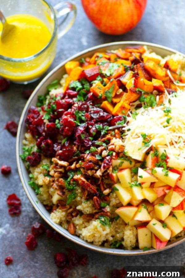 Cranberry Apple Delicata Squash Quinoa Salad - Loaded with tangy cranberries and crunchy apples, this delicata squash quinoa salad is the perfect winter side salad for any gathering and doubles as fantastic lunch leftovers!