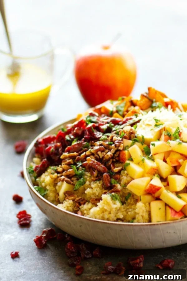 Cranberry Apple Delicata Squash Quinoa Salad - Loaded with tangy cranberries and crunchy apples, this delicata squash quinoa salad is the perfect winter side salad for any gathering and doubles as fantastic lunch leftovers!