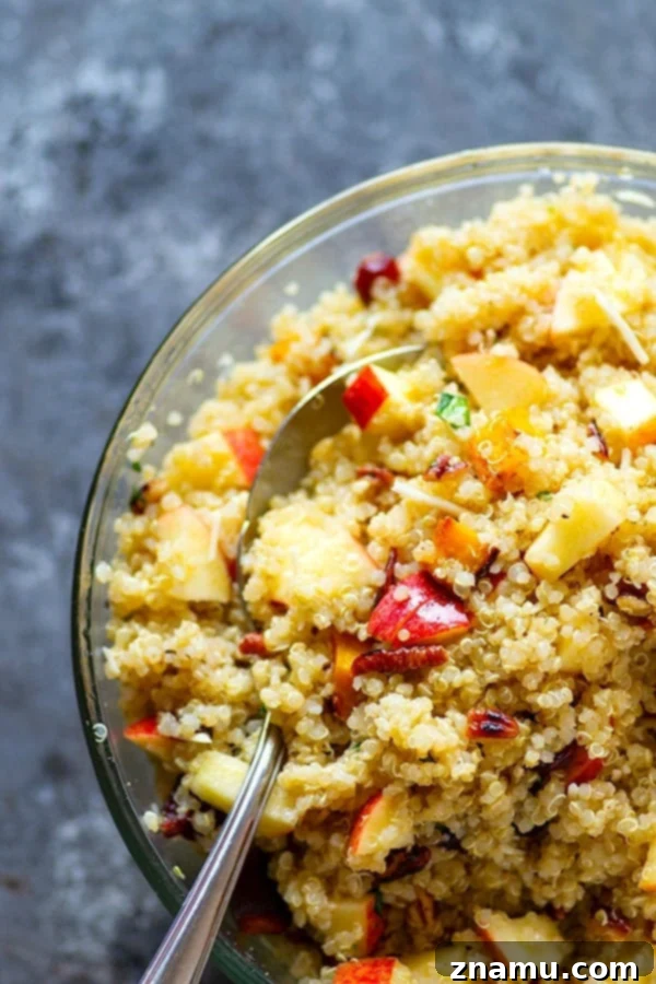 Cranberry Apple Delicata Squash Quinoa Salad - Loaded with tangy cranberries and crunchy apples, this delicata squash quinoa salad is the perfect winter side salad for any gathering and doubles as fantastic lunch leftovers!