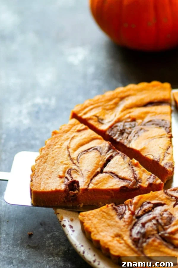 Milk Chocolate Swirled Pumpkin Tart 2 Milk Chocolate Swirl Pumpkin Tart with a silky pumpkin filling and chocolate ribbon