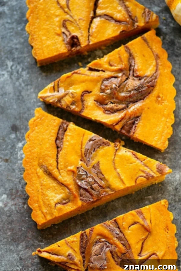 Milk Chocolate Swirled Pumpkin Tart 3 Close-up of a Milk Chocolate Swirl Pumpkin Tart slice