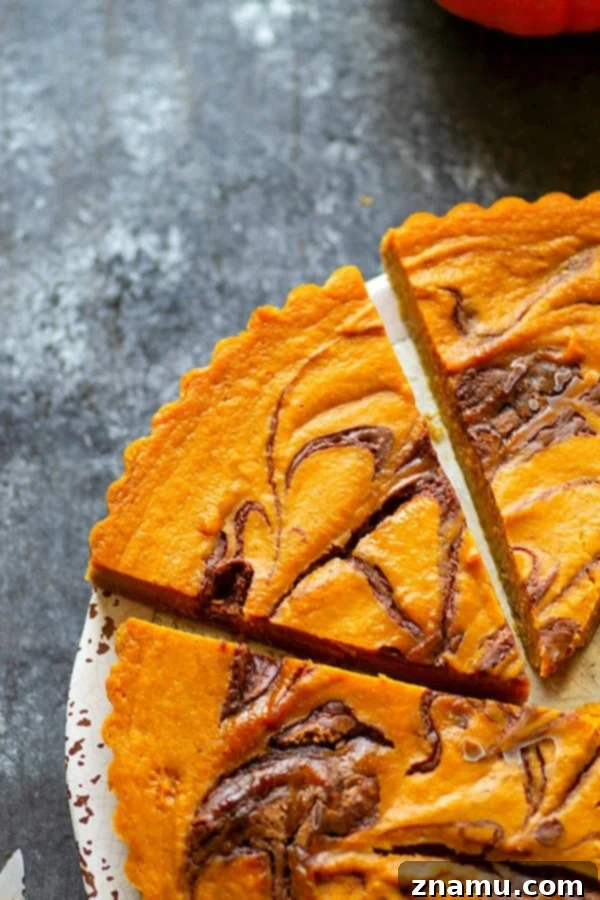 Milk Chocolate Swirled Pumpkin Tart 5 Slice of Milk Chocolate Swirl Pumpkin Tart with a generous dollop of whipped cream