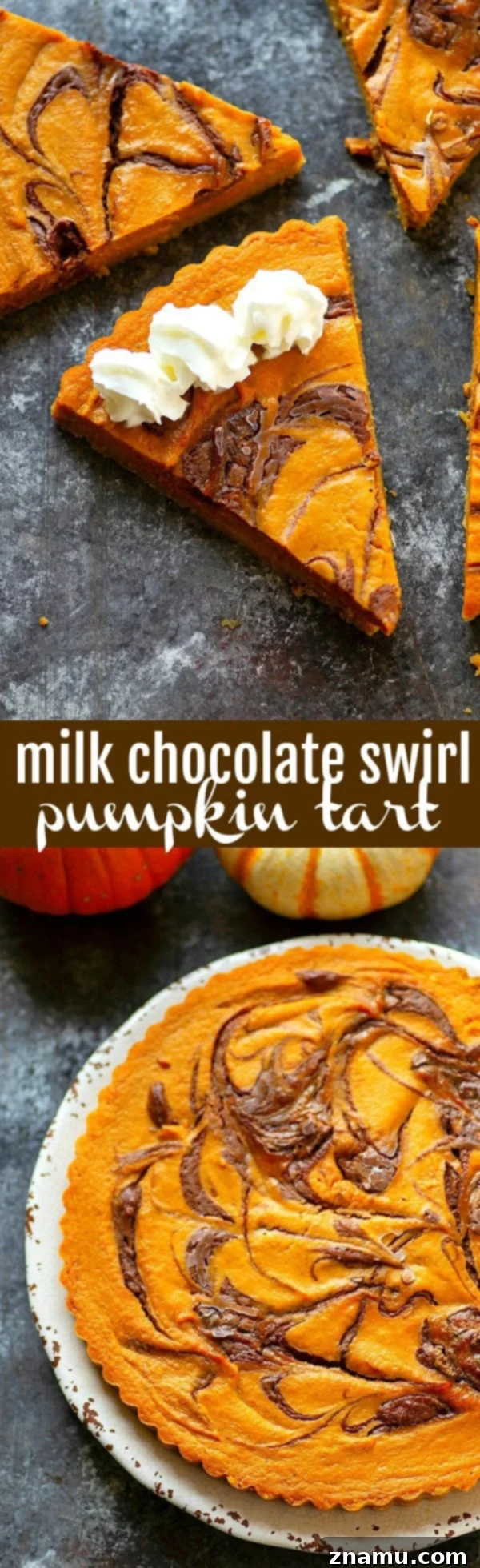 Milk Chocolate Swirled Pumpkin Tart 6 Large image of Milk Chocolate Swirl Pumpkin Tart slice with a fork