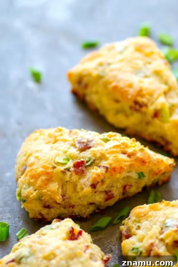 Savory White Cheddar Bacon Scallion Scones 3 A close-up of a freshly baked White Cheddar Bacon Scallion Scone, highlighting its golden crust and fluffy interior.