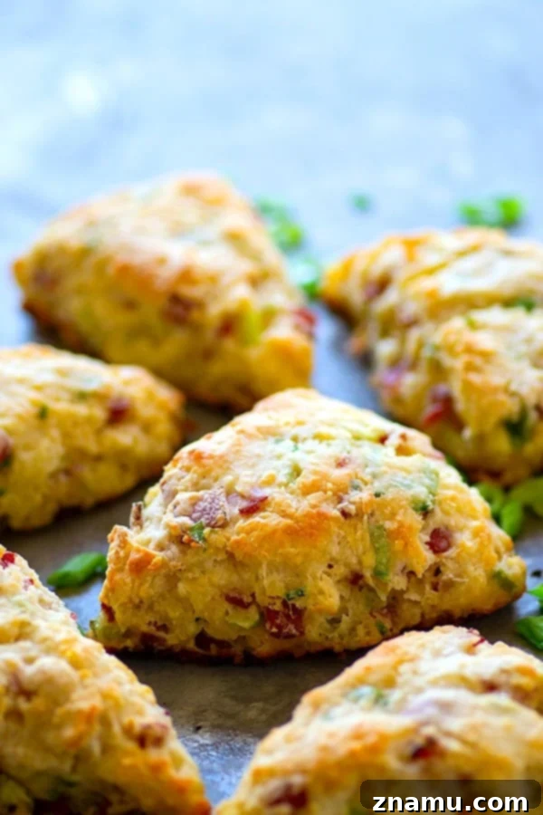 Savory White Cheddar Bacon Scallion Scones 4 A tray of uncooked White Cheddar Bacon Scallion Scones, perfectly cut into wedges and ready for baking.