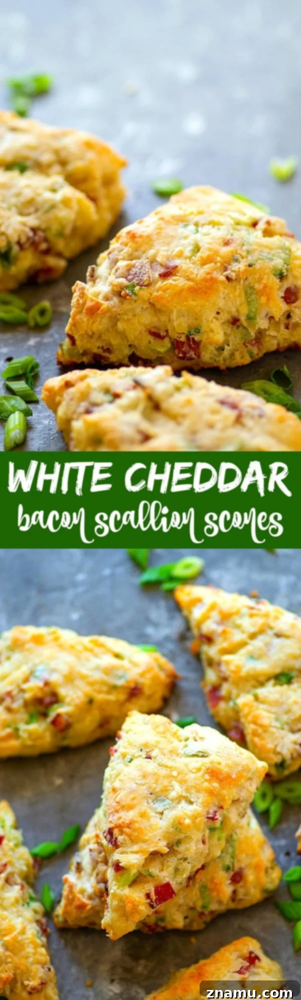 Savory White Cheddar Bacon Scallion Scones 6 A vertical shot of a large batch of White Cheddar Bacon Scallion Scones cooling on a wire rack.