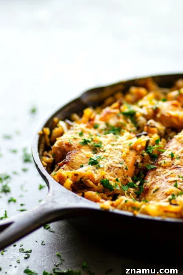 One-Pot Caramelized Onion Chicken Wild Rice - Hearty and flavorful, this one-pot dish combines tender chicken, sweet caramelized onions, and fluffy wild rice for an unforgettable meal.