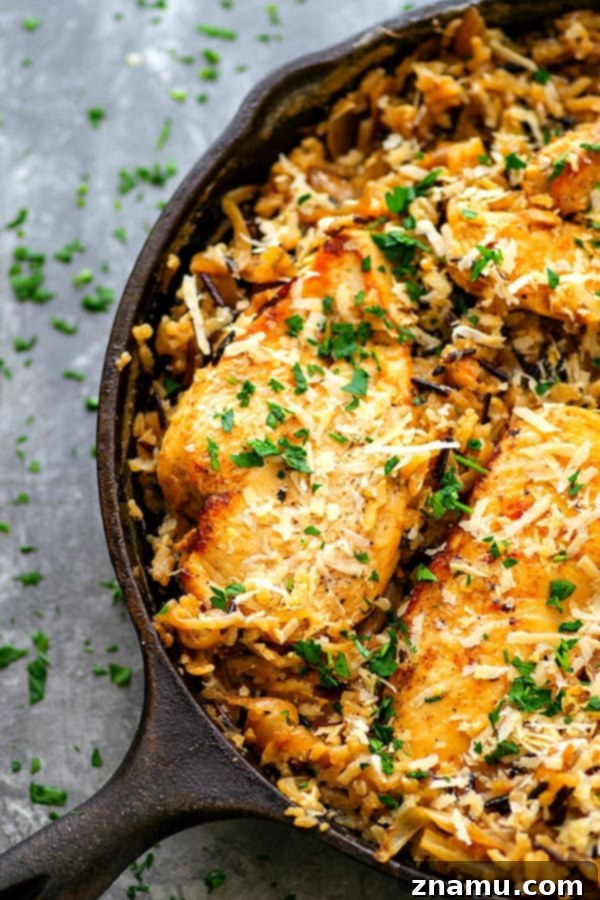 Close-up of One-Pot Caramelized Onion Chicken Wild Rice - A delicious blend of ingredients, showing the rich texture and golden brown chicken, ready to be enjoyed.