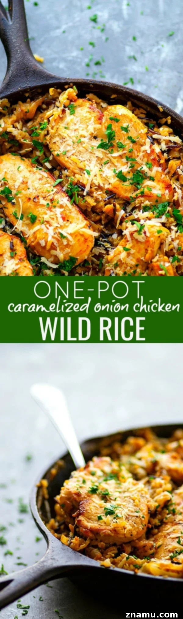 Overhead view of One-Pot Caramelized Onion Chicken Wild Rice in a serving bowl with a spoon, highlighting its creamy texture.