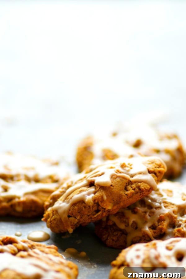 Frosted Gingerbread Oat Delights 2 Iced Gingerbread Oatmeal Cookies - Packed with irresistible gingerbread flavors, super chewy, and draped in sweet vanilla icing, these iced gingerbread oatmeal cookies are a holiday cookie tray necessity!