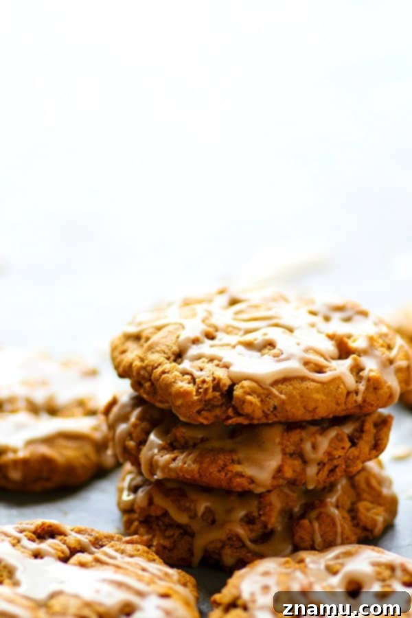 Frosted Gingerbread Oat Delights 4 Iced Gingerbread Oatmeal Cookies - Packed with irresistible gingerbread flavors, super chewy, and draped in sweet vanilla icing, these iced gingerbread oatmeal cookies are a holiday cookie tray necessity!