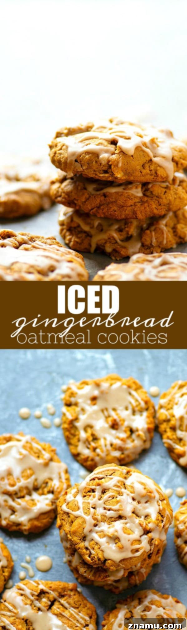 Frosted Gingerbread Oat Delights 6 Iced Gingerbread Oatmeal Cookies - Packed with irresistible gingerbread flavors, super chewy, and draped in sweet vanilla icing, these iced gingerbread oatmeal cookies are a holiday cookie tray necessity!