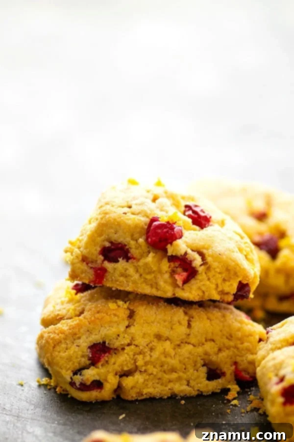 Zesty Orange Cranberry Cornmeal Scones 2 Rustic Cranberry Cornmeal Orange Scones, perfect for holiday brunch