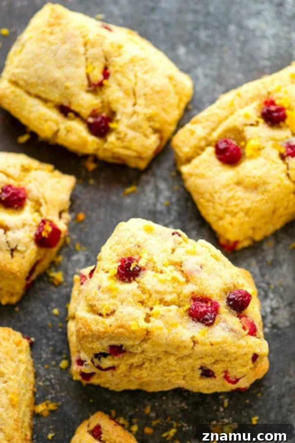 Zesty Orange Cranberry Cornmeal Scones 3 Close-up of baked Cranberry Cornmeal Orange Scones with fresh cranberries