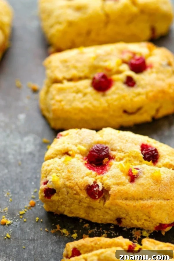 Zesty Orange Cranberry Cornmeal Scones 4 Plate of freshly baked Cranberry Cornmeal Orange Scones with powdered sugar