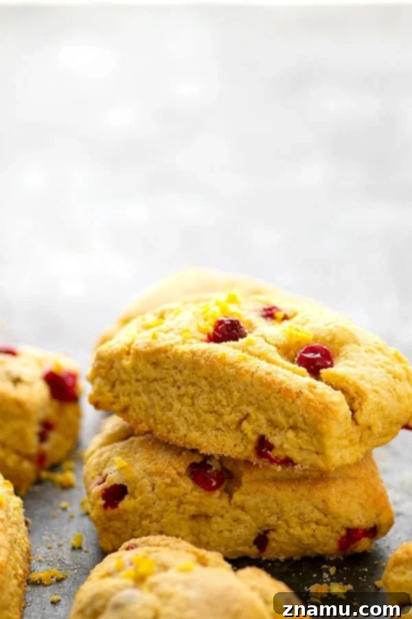 Zesty Orange Cranberry Cornmeal Scones 5 A batch of warm Cranberry Cornmeal Orange Scones cooling on a wire rack
