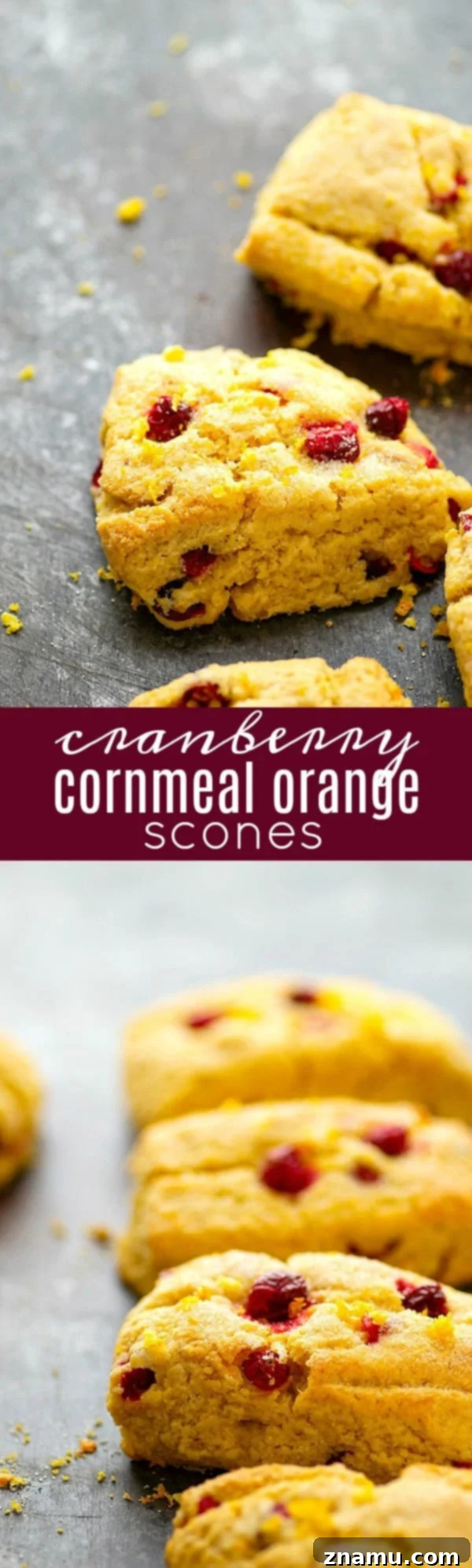 Zesty Orange Cranberry Cornmeal Scones 6 Assortment of Cranberry Cornmeal Orange Scones on a decorative platter
