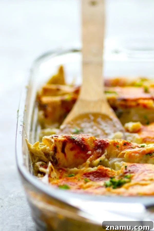 Delicious Alfredo Green Chile Chicken Enchiladas baked to perfection in a casserole dish.