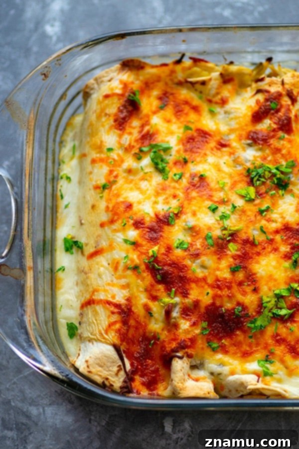 Close-up of freshly baked Alfredo Green Chile Chicken Enchiladas, showing the melted cheese and creamy sauce.