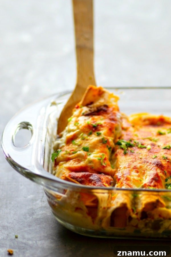 A baking dish filled with Alfredo Green Chile Chicken Enchiladas, ready to be served.