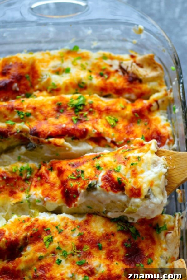 Close-up shot of an Alfredo Green Chile Chicken Enchilada, highlighting the rich sauce and tender chicken.