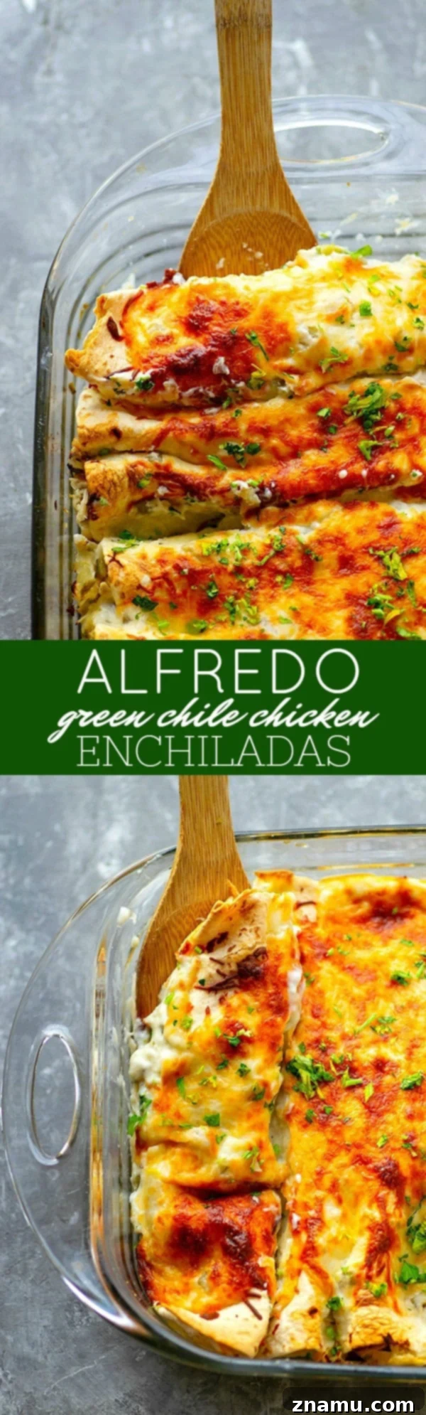 A large serving of Alfredo Green Chile Chicken Enchiladas on a plate, garnished with fresh parsley.
