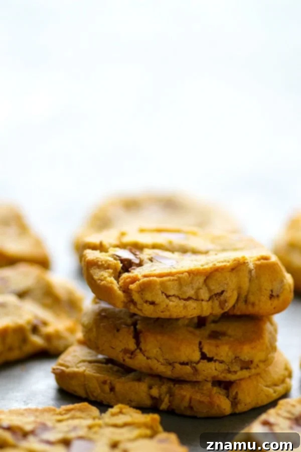 Close-up of Browned Butter Icebox Chocolate Chunk Cookies, highlighting the crispy edges, chewy centers, and generous chocolate chunks.