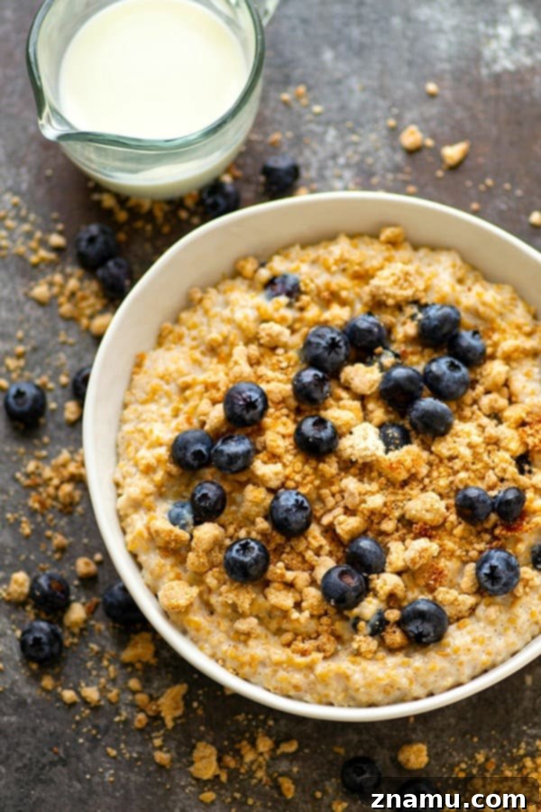 Blueberry Muffin Crumble Steel-Cut Oats 2 Delicious Blueberry Muffin Streusel Steel-Cut Oatmeal Bowls topped with fresh blueberries